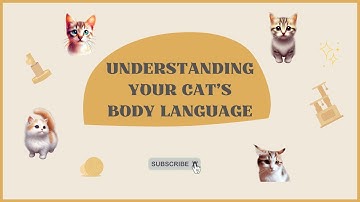 Cracking the code : Understanding your cat