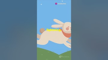 Tortoise vs Rabbit: The Ultimate Race Showdown!