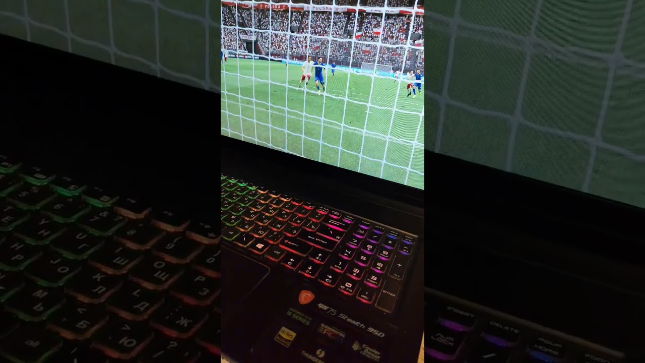 Poland -Ukraine friendly