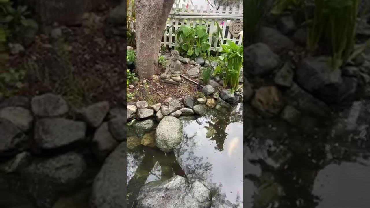 Enviroscape LA is live!