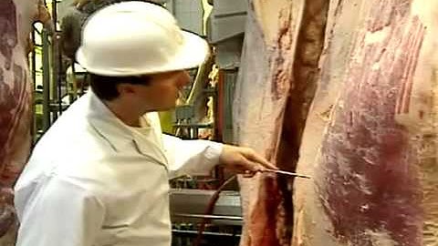 HACCP - Making Food Products Safe, Part 1