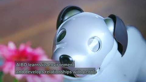 Worlds first Pet Robot - AIBO