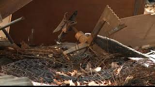 6 children removed from filthy home