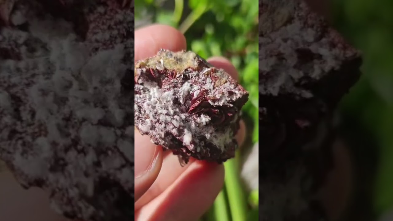 Barite - Siderite - Brosso 