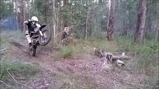 insane 250cc pit bike ride