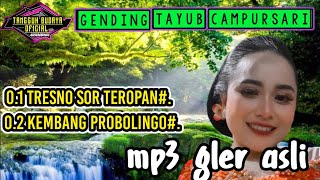 TAYUB TEROPAN TERBARU TRESNO SOR TEROPAN KEMBANG PROBOLINGO