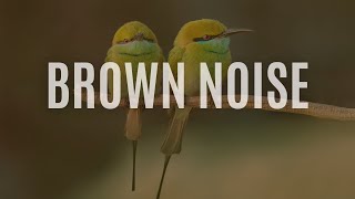 Ideal Brown Noise for Study and Relaxation  Gentle for Peaceful Rest