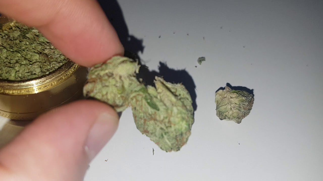 STRAIN REVIEW 018: pink tuna AAAA - Ghostdrops