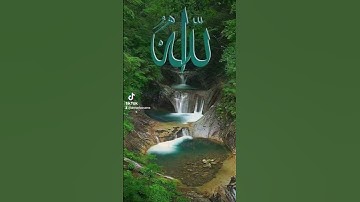 قران كريم تلاوة خاشعه #duet #القزابري #المصحف #دويتو #اكسبلور #تيك_توك #الرحمن #beautiful #لايك