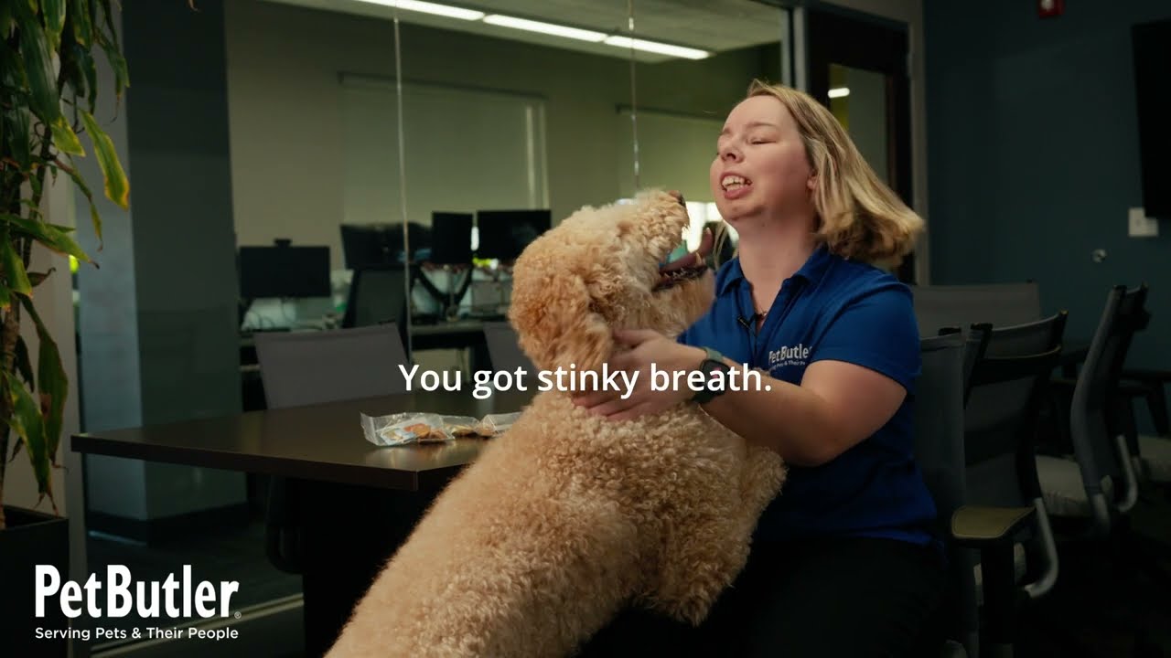 Meet the Team & Their Dogs: Jennifer Stark