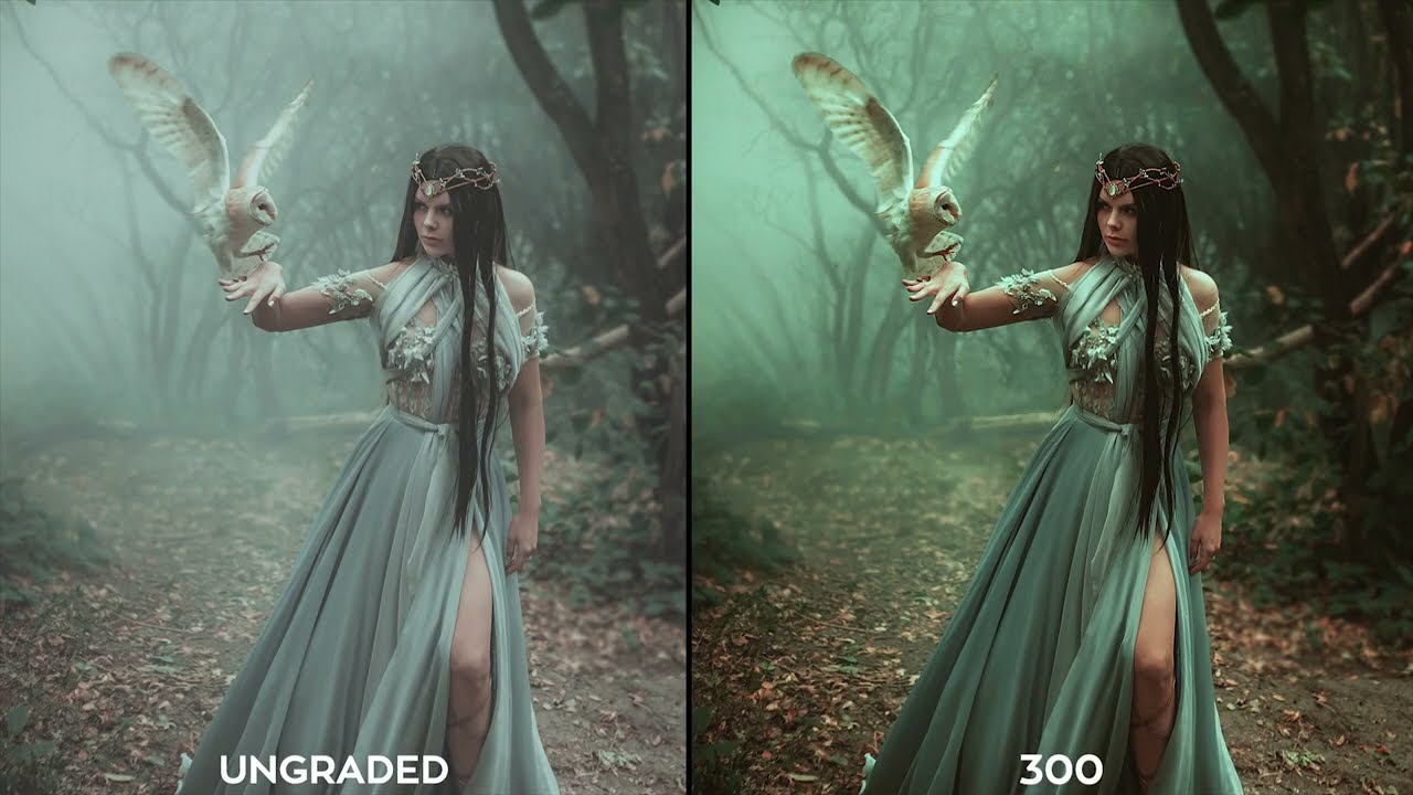 45 Fantasy Genre Movie-inspired LUTs - Game of Thrones, Harry Potter, Sleepy Hollow and many more!