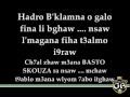 Chants Green Boys 2009 2010 Hadro B KLAMNA