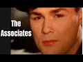 The associates  documentary 2000