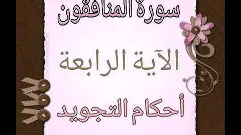 #سورة المنافقون#الآية_٤_#شرح الآنسة ندى#قليل دائم خير