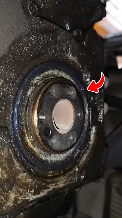 Remove the front neck seal! #youtube #shorts #foryou