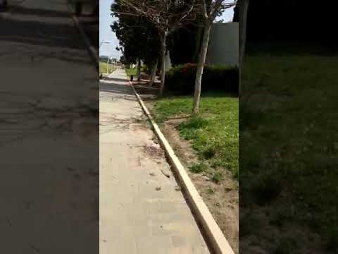 20.4.2020 אני האהבה האור המשיח כל יום להתעורר