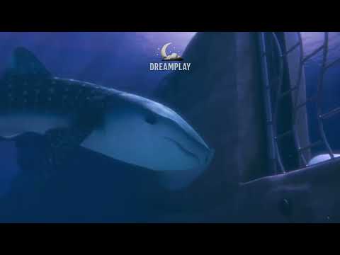 Film animasi Finding Dory || dubbing bahasa Indonesia part #012