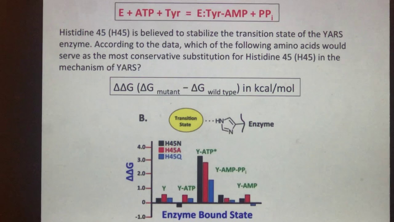 MCAT Free Energy & Amino Acid Mutants From YouTube