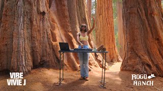Download Lagu I DJ’d with the Biggest Trees on Earth | Hip Hop, R\u0026B \u0026 House DJ Set MP3