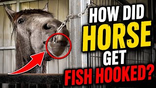 Trouble in the Horse Stables! 