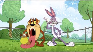 7 Bugs Bunny Rabbit Funny Photos Toon Cartoon Images