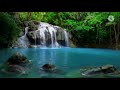 اصوات مهدئة للاعصاب لطبيعة 