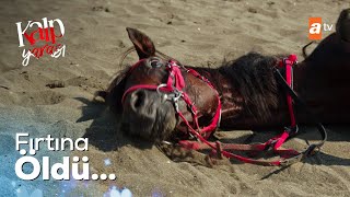 Baha, Fırtına'yı zehirledi! - Kalp Yarası 6. Bölüm