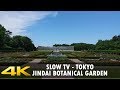 Slow TV - Walking in Tokyo - Jindai Botanical Garden. 1+ hour, 4K