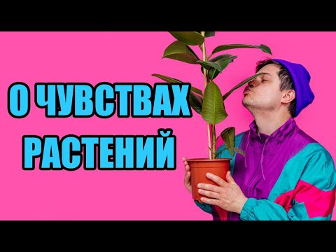 Видео: Как растенията зависят от животните?