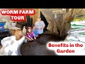 Benefits of Using Worm Castings in the Garden | Worm Farm Tour & Process