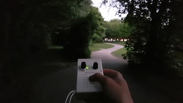 2 dwergvleermuizen in actie (Petersson batdetector) aan visvijver in Zelzate