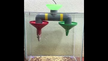 Best Mouse Trap Ideas // Best Mouse Traps