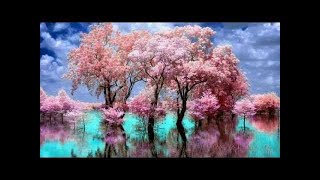 Relax music 2017- Beautiful Chinese Music 25 - Traditional -Heart Sutra