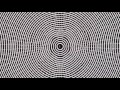 Amazing optical illusion what it looks like to be high