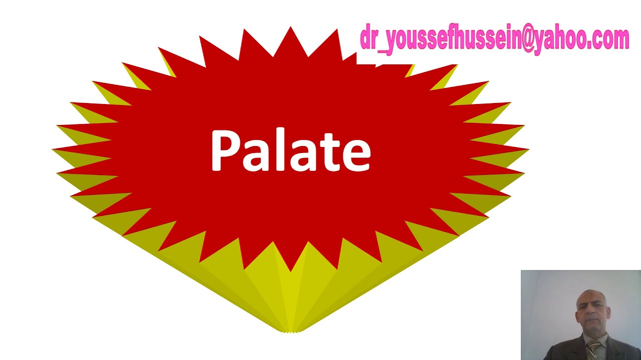 Palate | Hard palate | Muscles of the palate | Movements of soft palate