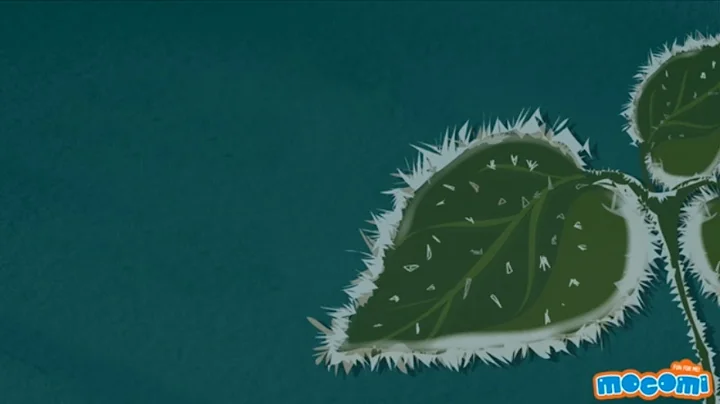 What is Frost and where does it come from? - Geography for Kids | Educational Videos by Mocomi