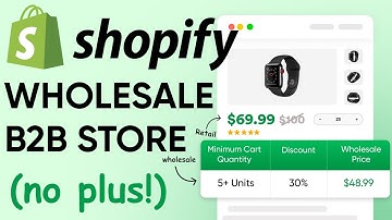 Shopify B2B Wholesale Store Setup - How to Sell to B2B & Retail in Your Store WITHOUT Shopify Plus
