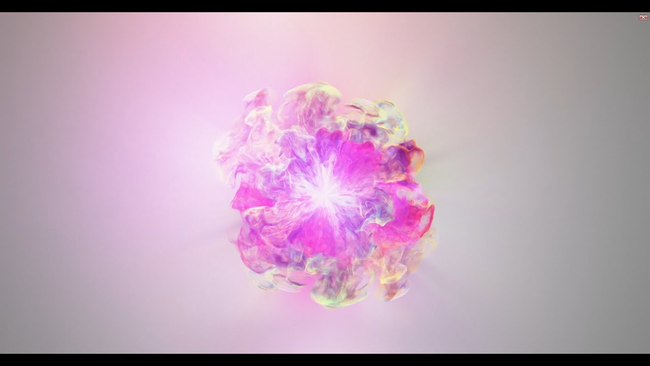 colorful flowers logo reveal after effect template