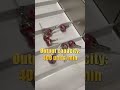 Industrial Lollipop Packing Machine for Food Factory