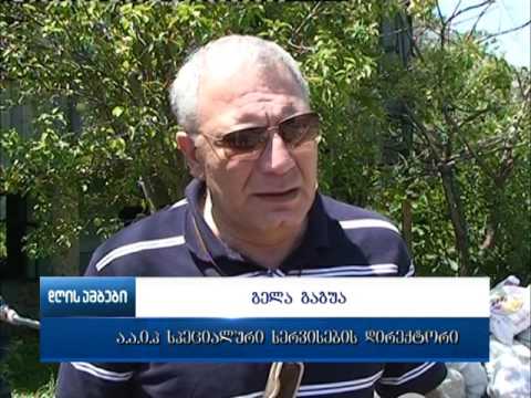 ქვეწარმავლების წინააღმდეგ ბრძოლა აქტიურდება