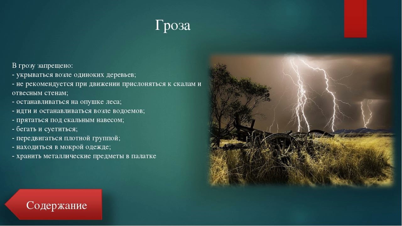 Инструкция гроз. В грозу запрещается:. Во время грозы рекомендуется:. Гроза в лесу ОБЖ. Во время грозы запрещается.