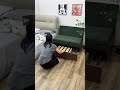 客室なんて不要 3 秒でベッドに変身する魔法のソファ #空間活用 #インテリア