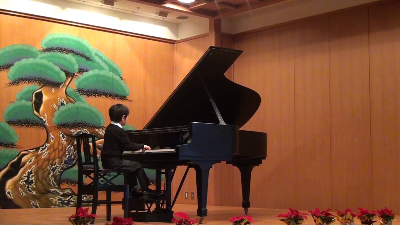 ザ・ピアノ(Tha Piano) ショパン編 15枚組 - その他