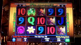 Dragonfly Slot Bonus - IGT