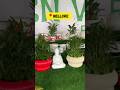 A to Z Expo💥 #nellore #exhibition #vrc #shorts #viral #yt #ytviral #youtubeshortsfeed #ytshorts