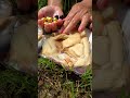 The girl dug out a super large pearl clam #pearl #pearlhunter #treasurehunti