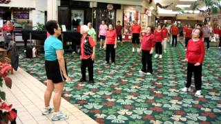 Luk Tung Kuen Chinese Exercise at Kahala Mall Christmas Special everydaytaichi lucy chun