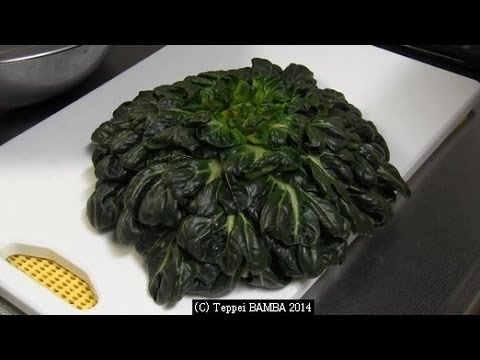 ターサイ豚肉炒めレシピ Youtube