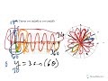 Precal Spring 37 Rose Curves