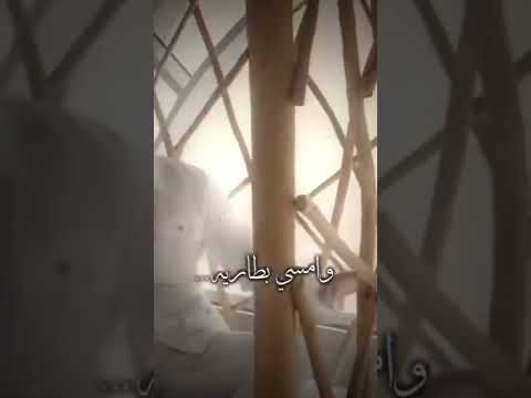 اصبح على صوته وامسي بطاريه محمود التركي الـبـارحـة ستوريات انستا حالات واتس 